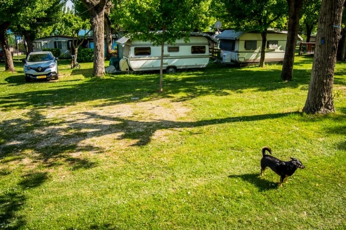 zobacz camping - zdjęcie 3