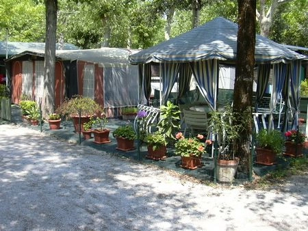 zobacz camping - zdjęcie 11