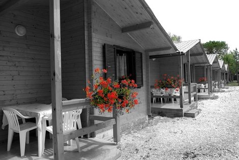 zobacz camping - zdjęcie 6