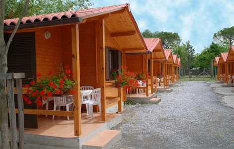 zobacz camping - zdjęcie 5