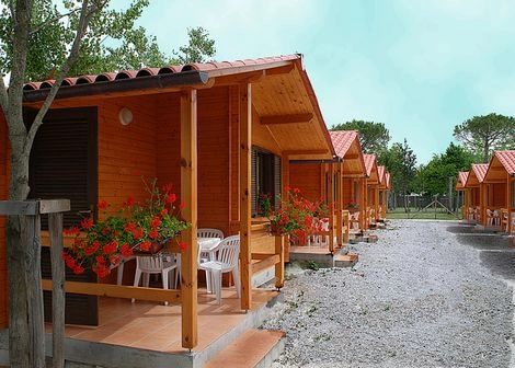 zobacz camping - zdjęcie 4