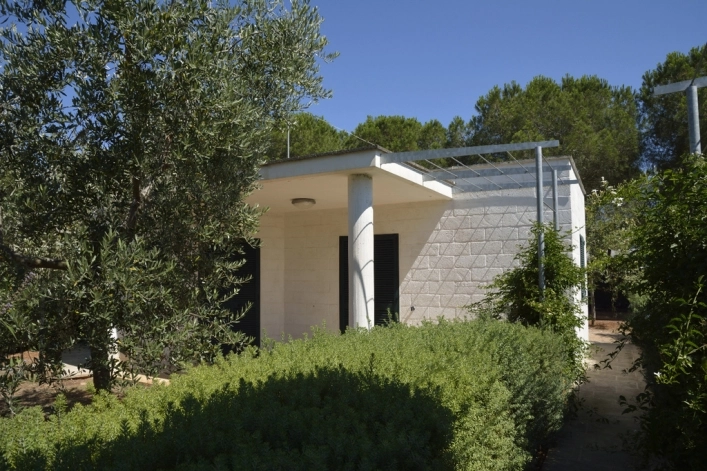 zobacz camping - zdjęcie 18