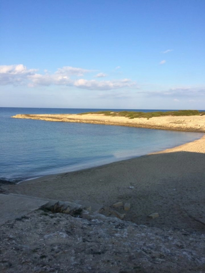 zobacz camping - zdjęcie 7