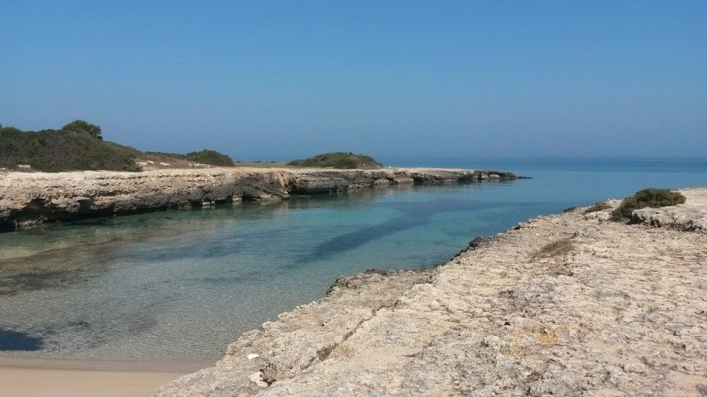 zobacz camping - zdjęcie 6