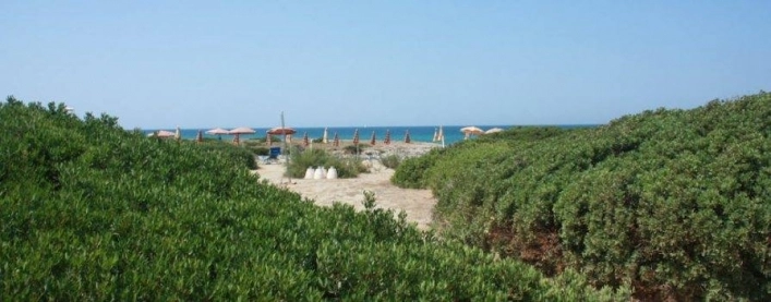 zobacz camping - zdjęcie 5