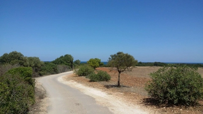 zobacz camping - zdjęcie 2