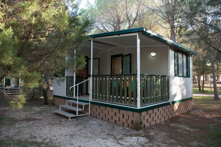 zobacz camping - zdjęcie 29