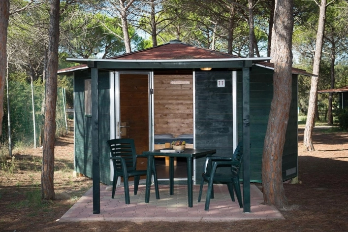 zobacz camping - zdjęcie 17