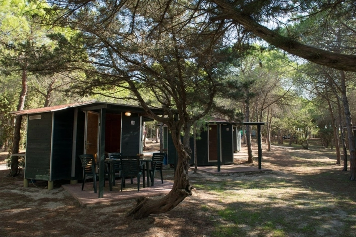 zobacz camping - zdjęcie 10