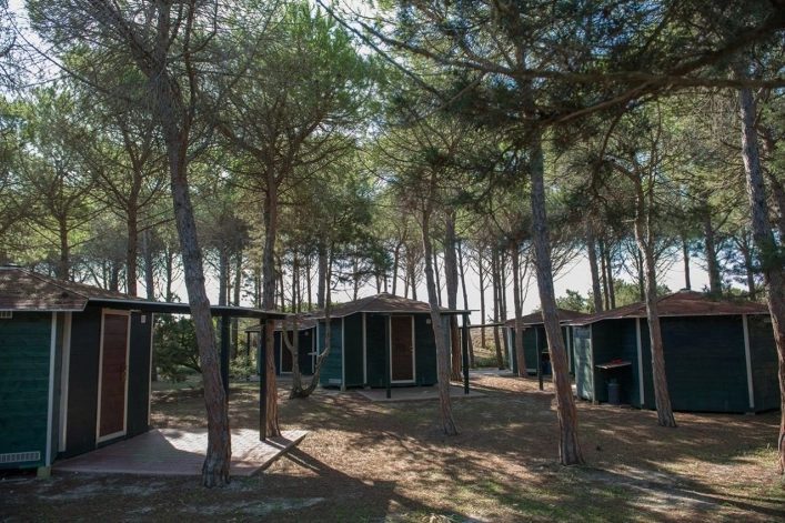 zobacz camping - zdjęcie 9