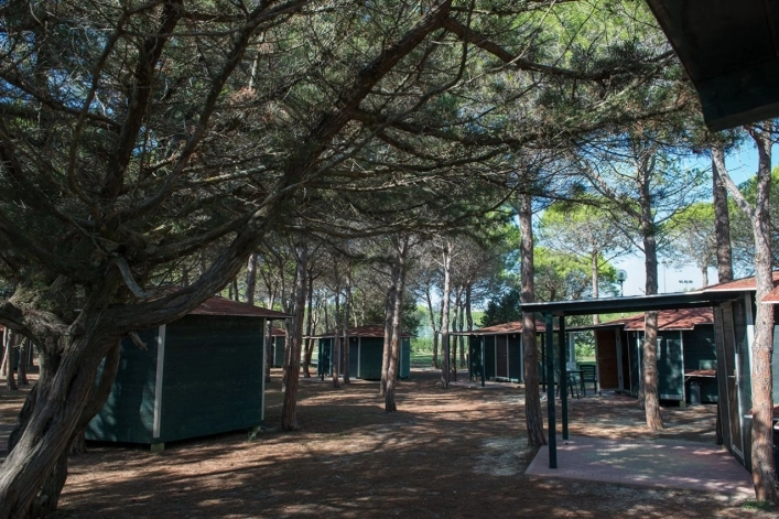 zobacz camping - zdjęcie 8