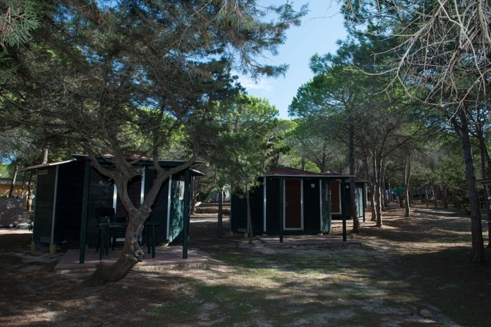 zobacz camping - zdjęcie 1