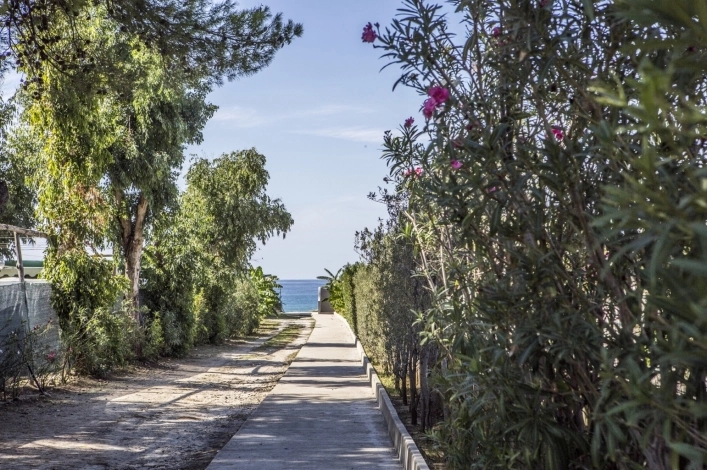 zobacz camping - zdjęcie 29