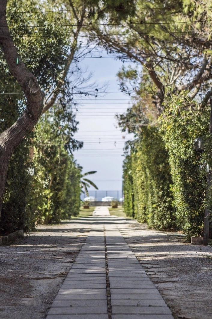 zobacz camping - zdjęcie 16