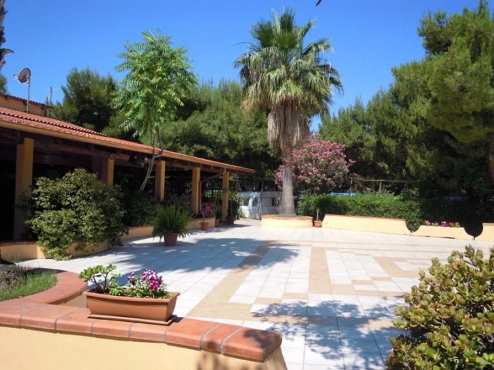 zobacz camping - zdjęcie 9