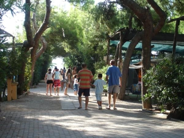 zobacz camping - zdjęcie 8