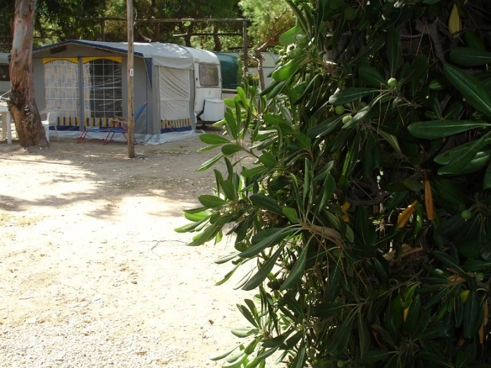 zobacz camping - zdjęcie 6