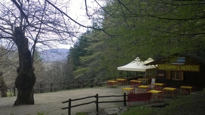 zobacz camping - zdjęcie 10