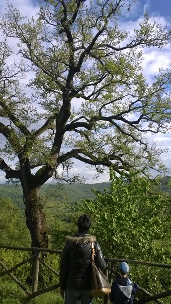 zobacz camping - zdjęcie 6