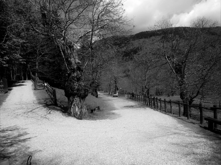 Campeggio Camaldoli - zdjęcie 2