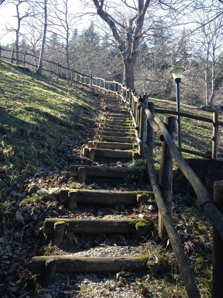 Campeggio Camaldoli - zdjęcie 1