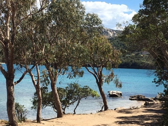 zobacz camping - zdjęcie 14