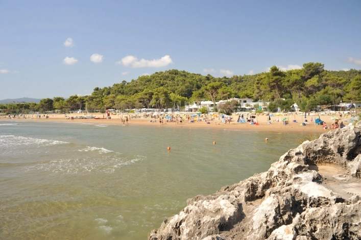 zobacz camping - zdjęcie 21