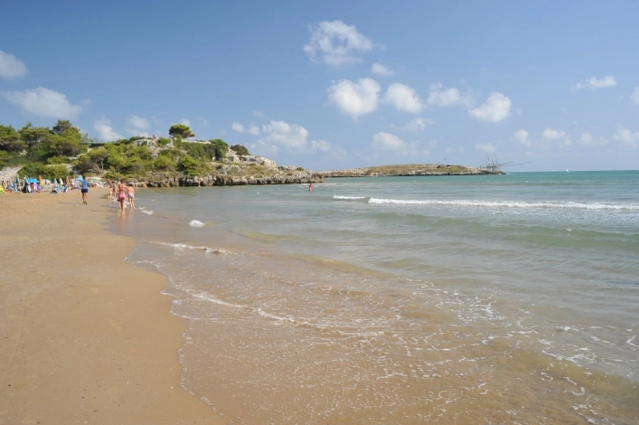 zobacz camping - zdjęcie 20