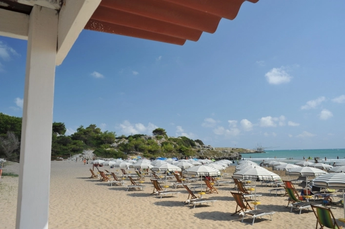 zobacz camping - zdjęcie 18