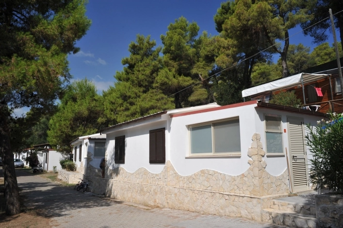 zobacz camping - zdjęcie 9