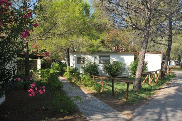 zobacz camping - zdjęcie 6