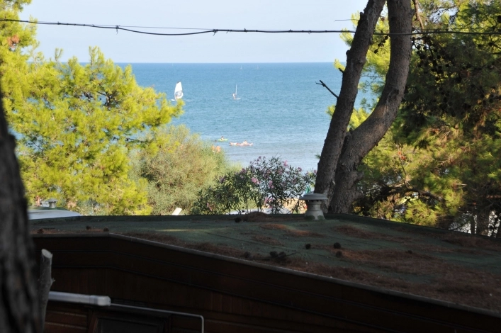 Campeggio Capo Vieste - zdjęcie 4
