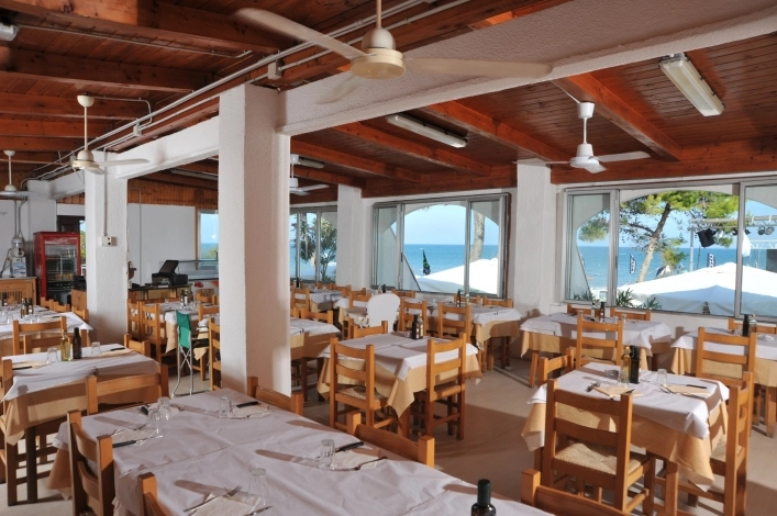 Campeggio Capo Vieste - zdjęcie 1