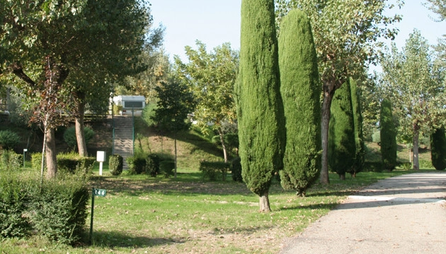 zobacz camping - zdjęcie 8