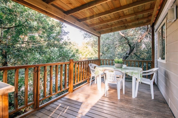 zobacz camping - zdjęcie 10