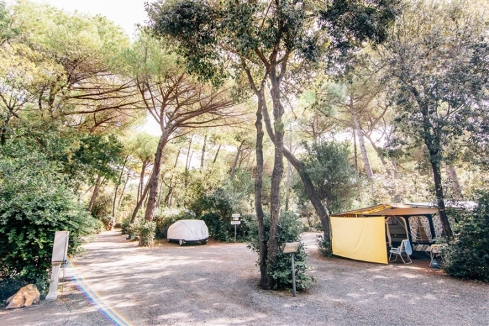 Campeggio Casa di Caccia - zdjęcie 3