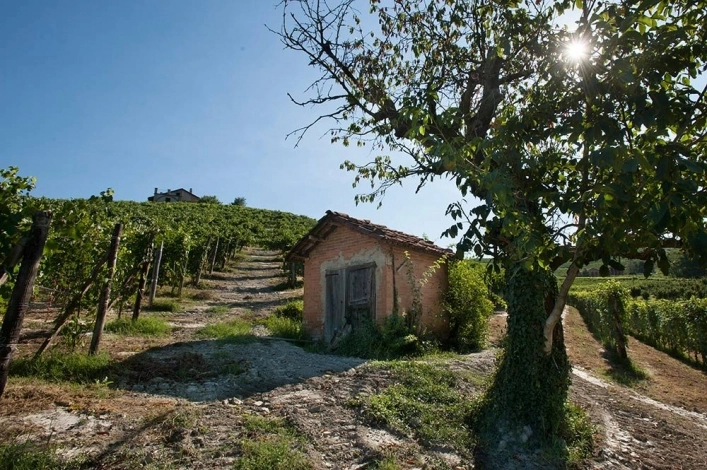 zobacz camping - zdjęcie 12