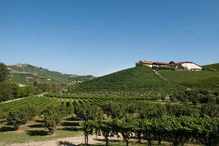 zobacz camping - zdjęcie 11