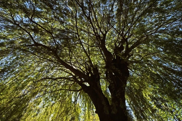 zobacz camping - zdjęcie 6