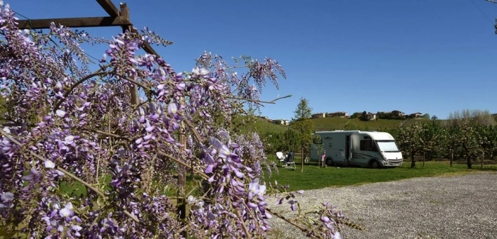 zobacz camping - zdjęcie 4