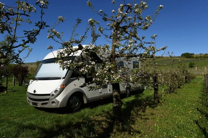 Campeggio Cascina Ballarin - zdjęcie 2