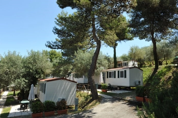 zobacz camping - zdjęcie 3