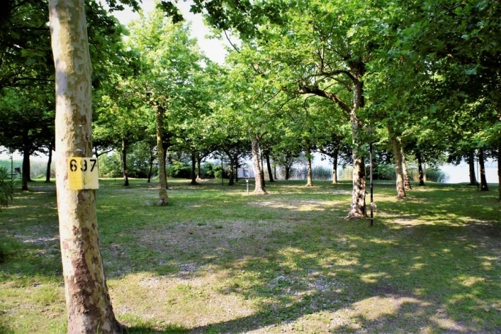 zobacz camping - zdjęcie 17