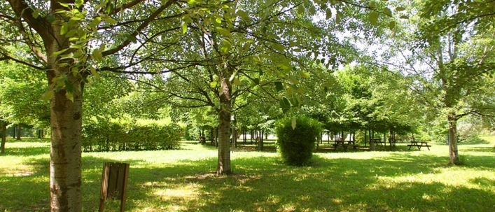 zobacz camping - zdjęcie 10