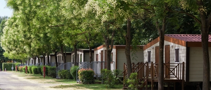 zobacz camping - zdjęcie 6