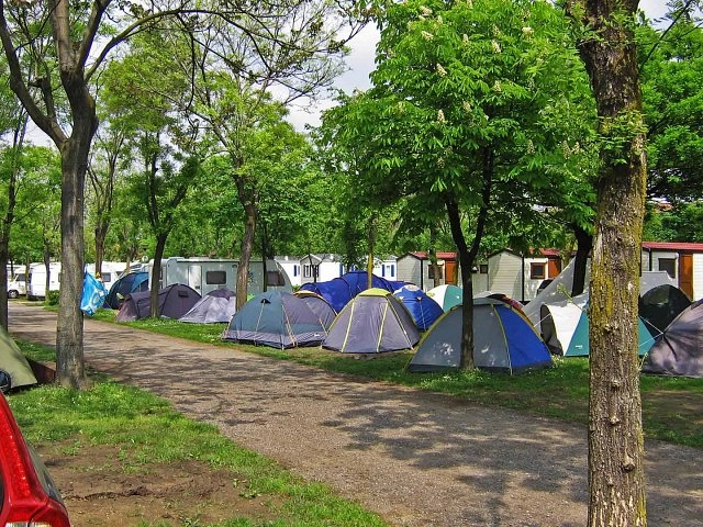 zobacz camping - zdjęcie 30