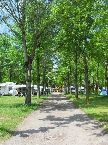 zobacz camping - zdjęcie 17