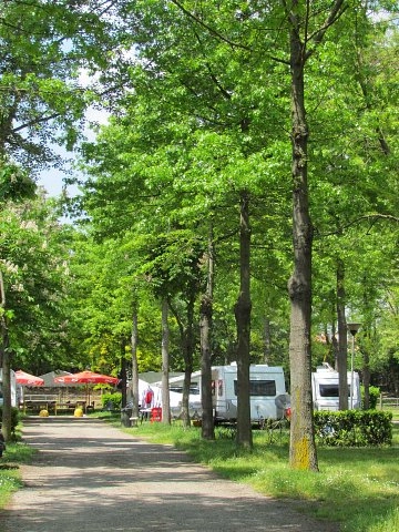 zobacz camping - zdjęcie 16