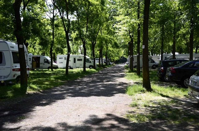 zobacz camping - zdjęcie 15