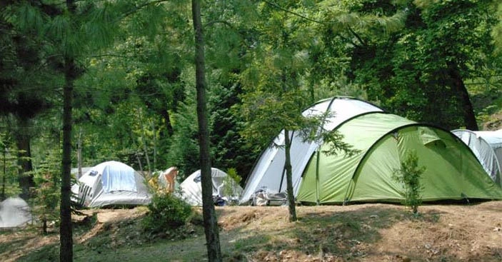 zobacz camping - zdjęcie 9